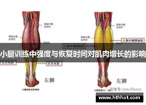 小腿训练中强度与恢复时间对肌肉增长的影响